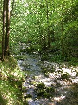 ruisseau life
